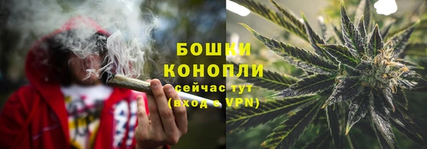 крисы Белокуриха