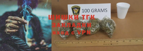 СК Бородино