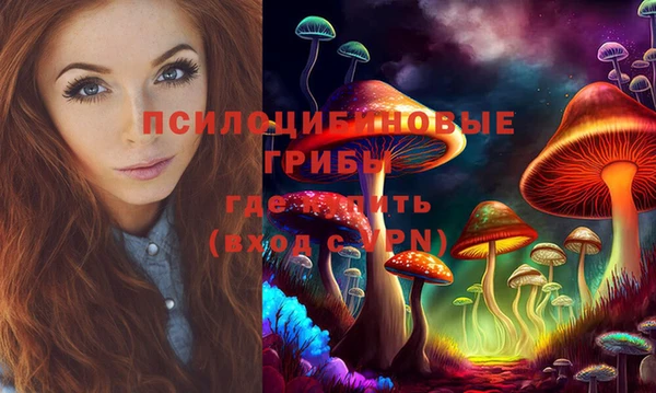 дживик Белоозёрский