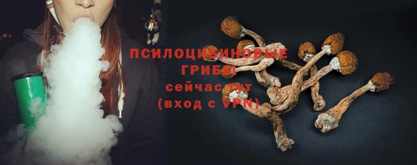 дживик Белоозёрский