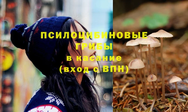 spice Беломорск