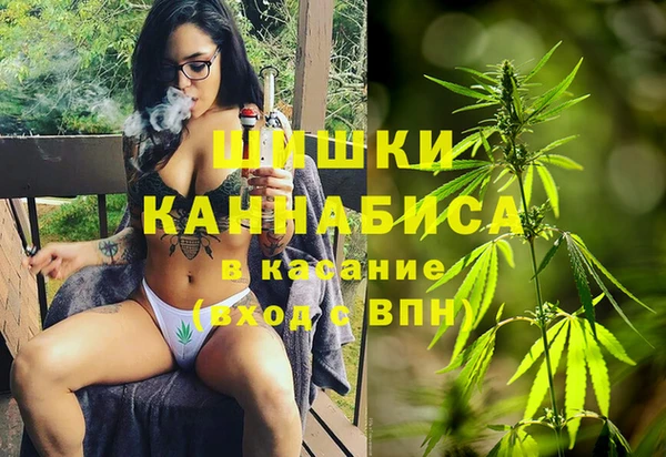 крисы Белокуриха