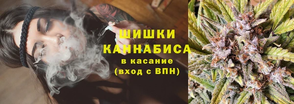 крисы Белокуриха