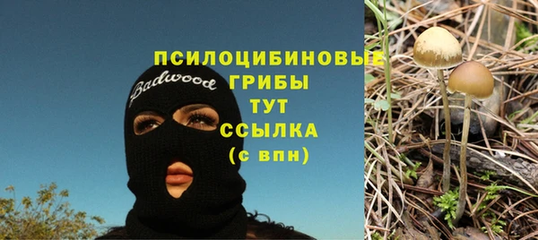 spice Беломорск
