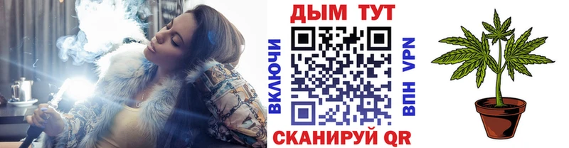 Конопля индика Купить Миллерово